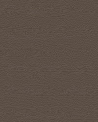 Nuance 2463 Medium Neutral by   