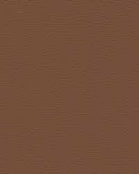 Nuance 2473 Cognac by  Abbeyshea Fabrics 