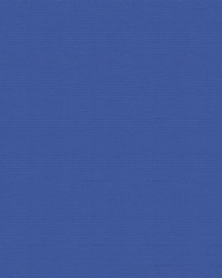 Patio 500503 Royal Blue by  Abbeyshea Fabrics 