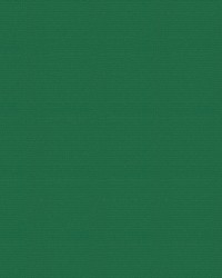 Patio 500510 Dark Green by  Abbeyshea Fabrics 