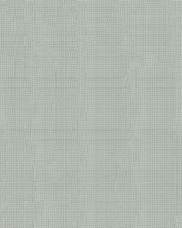 Patio 500513 Clear by  Abbeyshea Fabrics 