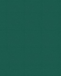 Patio 500562 Emerald by  Abbeyshea Fabrics 