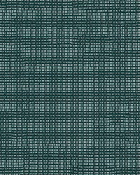 Phifertex Solid 3006865 Spruce Green C09 by  Abbeyshea Fabrics 