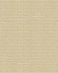 Phifertex Solid 3006891 Grey Sand X00 by  Abbeyshea Fabrics 