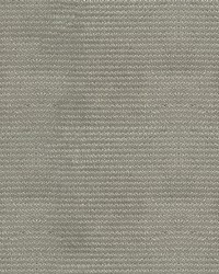 Piccolo 64 Gray by  Abbeyshea Fabrics 