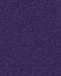 Premier 1009 Plum by  Abbeyshea Fabrics 