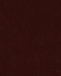 Premier 108 Wine by  Abbeyshea Fabrics 