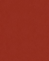 Premier 14 Rust by  Abbeyshea Fabrics 