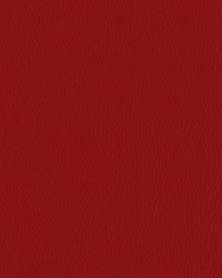 Premier 17 Garnet by  Abbeyshea Fabrics 