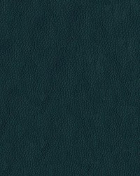 Premier 24 Deep Teal by  Abbeyshea Fabrics 