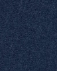 Premier 3006 Navy by   