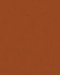 Premier 44 Pumpkin Spice by  Abbeyshea Fabrics 