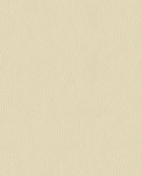 Premier 6003 Cream by  Abbeyshea Fabrics 