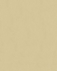 Premier 605 Parchment by  Abbeyshea Fabrics 