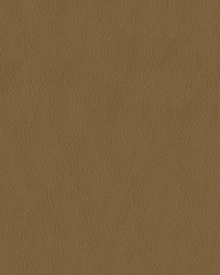 Premier 608 Sandstone by  Abbeyshea Fabrics 