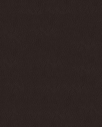 Premier 8020 Chocolate by  Abbeyshea Fabrics 