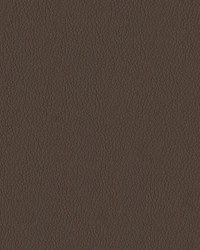 Premier 808 Mocha by  Abbeyshea Fabrics 