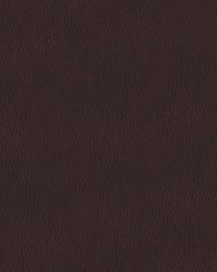 Premier 87 Chestnut by  Abbeyshea Fabrics 