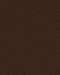 Royal 8009 Deep Brown by  Abbeyshea Fabrics 