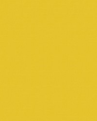 Sealskin 505 Sun Yellow by   