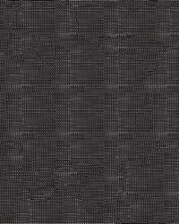 Seat Bottom Lining 9009 Black by  Abbeyshea Fabrics 
