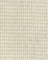 Solo 601 Parchment by  Abbeyshea Fabrics 