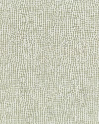 Sorrento 601 Eggshell by  Abbeyshea Fabrics 