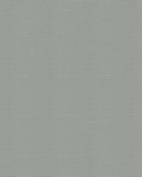 Spaliner 2nd Edition 97 Light Grey by   