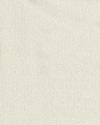 Stardust 601 Ivory by  Abbeyshea Fabrics 