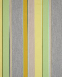 Sunbrella Furniture Expand 14049-0002 Citronelle by  Abbeyshea Fabrics 