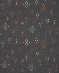 Sunbrella Furniture Renew 145843-0001 Earthen by  Abbeyshea Fabrics 