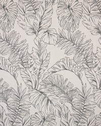 Sunbrella Furniture Calm 145854-0001 Graphite by  Abbeyshea Fabrics 