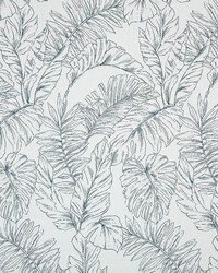 Sunbrella Furniture Calm 145854-0002 Laurel by  Abbeyshea Fabrics 