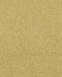 Sunbrella Furniture Blend 16001-0013 Honey by  Abbeyshea Fabrics 