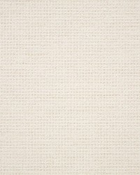 Sunbrella Furniture Nurture 42102-0001 White by  Abbeyshea Fabrics 