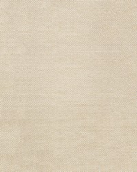 Sunbrella Furniture Action 44285-0000 Linen by  Abbeyshea Fabrics 