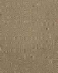 Sunbrella Furniture Action 44285-0003 Taupe by  Abbeyshea Fabrics 