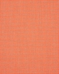 Sunbrella Furniture Bliss 48135-0006 Guava by  Abbeyshea Fabrics 