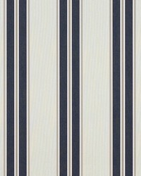 Sunbrella 4916 Navy/Taupe Fancy by   