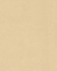 Sunbrella Furniture Shadow 51000-0001 Sand by  Abbeyshea Fabrics 