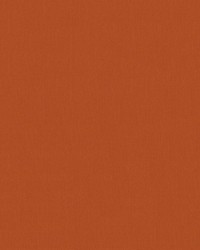 Sunbrella Furniture Solid Canvas 54010 Rust by  Abbeyshea Fabrics 