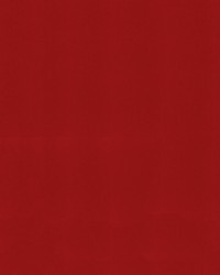 Sunbrella Furniture Solid Canvas 5403 Jockey Red by   