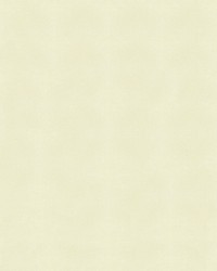 Sunbrella Furniture Solid Canvas 5404 Natural by  Abbeyshea Fabrics 