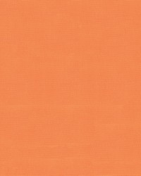 Sunbrella Furn Canvas Tangerine 5406-0000 by   