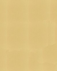 Sunbrella Furniture Solid Canvas 5414 Wheat by  Abbeyshea Fabrics 