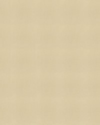 Sunbrella Furniture Solid Canvas 5422 Antique Beige by  Abbeyshea Fabrics 