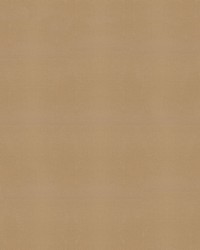 Sunbrella Furniture Solid Canvas 5425 Cocoa by  Abbeyshea Fabrics 