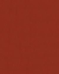 Sunbrella Furniture Solid Canvas 5440 Terracotta by  Abbeyshea Fabrics 