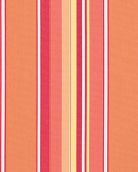 Sunbrella Furniture Stripes Dolce 56000 Mango by  Abbeyshea Fabrics 