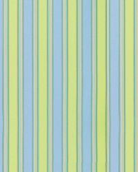 Sunbrella Furniture Stripes Bravada 5602 Limelite by  Abbeyshea Fabrics 